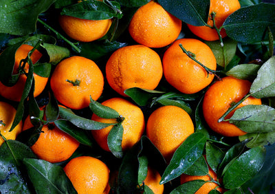 No B.S. Goodness: Vitamin C for the skin